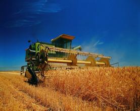 益海嘉里王?。捍睢耙粠б宦贰苯ㄔO(shè)快車加快農(nóng)業(yè)“走出去”