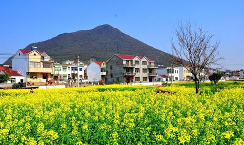 繁昌縣美好鄉(xiāng)村建設提升幸福指數