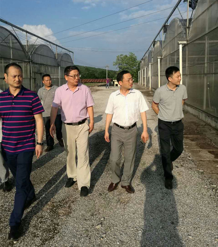 院長(zhǎng)李文輝在湖南宜章經(jīng)開區(qū)及農(nóng)業(yè)科技園進(jìn)行調(diào)研