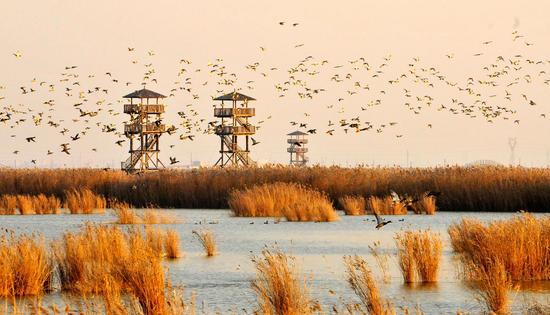 迅速崛起的國家級開發(fā)區(qū)--第十三屆全國重點網(wǎng)媒河北行走進(jìn)曹妃甸
