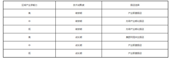 區(qū)域戰(zhàn)略性新興產(chǎn)業(yè)協(xié)同演化的要素與路徑探討