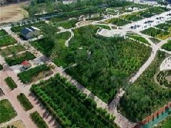 “十四五”規(guī)劃開局之年，中國(guó)經(jīng)濟(jì)怎么看？怎么干？