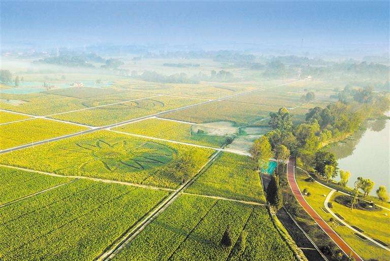 張?zhí)熳簦亨l(xiāng)村振興應重點研究關(guān)注的9類鄉(xiāng)村產(chǎn)業(yè)