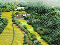 旌德經(jīng)開區(qū)多措并舉推動經(jīng)濟(jì)高質(zhì)量發(fā)展