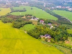 智慧園區(qū)規(guī)劃 | 產(chǎn)業(yè)園區(qū)該如何應(yīng)對(duì)突發(fā)公共事件？