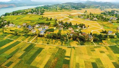 經(jīng)濟(jì)轉(zhuǎn)型，要抓縣域經(jīng)濟(jì)牛鼻子？