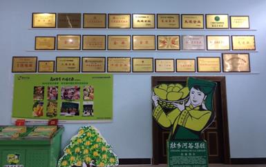 “芒果百色，香飄百地” 國內(nèi)首家芒果精深加工特色產(chǎn)業(yè)基地申報進行時