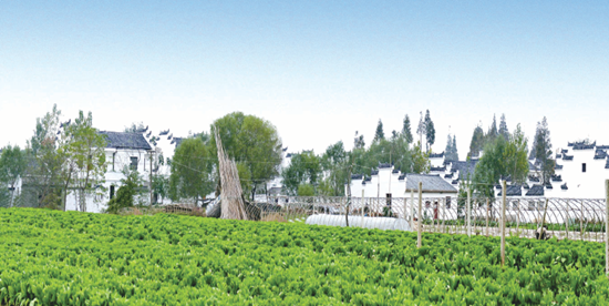 從無(wú)到有 從有到優(yōu) 臨空港經(jīng)開(kāi)區(qū)旅游歷經(jīng)蝶變?cè)俪霭l(fā)