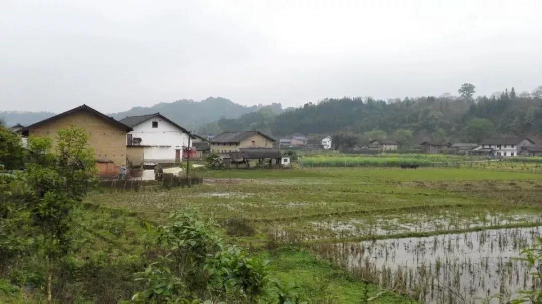 農(nóng)村土地確權(quán)結(jié)束，沒登記的四荒地如何處理？