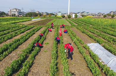 寧波慈溪：爭做鄉(xiāng)村振興領頭雁