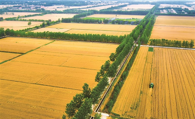 江蘇：魚米之鄉(xiāng)，鄉(xiāng)村產業(yè)動能澎湃