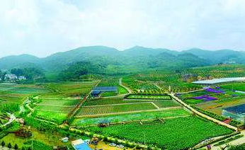 關于促進現(xiàn)代農(nóng)業(yè)產(chǎn)業(yè)園區(qū)建設的提案