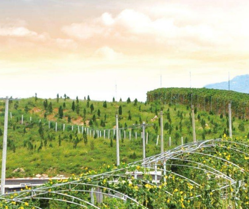 農(nóng)業(yè)農(nóng)村部辦公廳 財政部辦公廳關于開展國家現(xiàn)代農(nóng)業(yè)產(chǎn)業(yè)園創(chuàng)建績效評價和