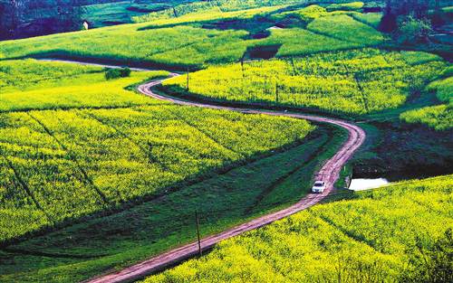 關于開展2019年國家現(xiàn)代農(nóng)業(yè)產(chǎn)業(yè)園創(chuàng)建工作的通知