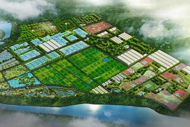 申報創(chuàng)建國家現(xiàn)代農(nóng)業(yè)產(chǎn)業(yè)園的條件及流程