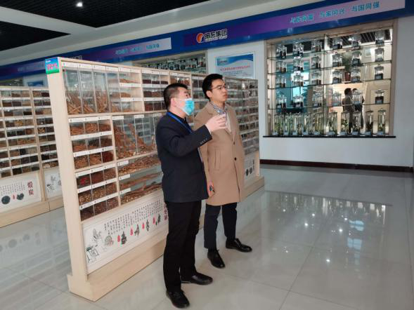 依托潞黨參和連翹兩大優(yōu)質(zhì)特色中藥材，平順縣向國家現(xiàn)代農(nóng)業(yè)產(chǎn)業(yè)園邁進(jìn)