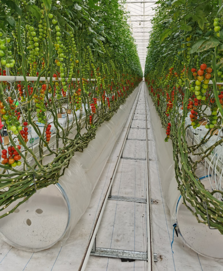 依托非耕地高效設(shè)施農(nóng)業(yè)，民樂縣著力打造特色戈壁農(nóng)業(yè)國(guó)家現(xiàn)代農(nóng)業(yè)產(chǎn)業(yè)園