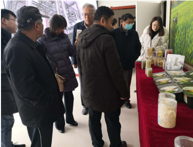 借力專家智慧，云州區(qū)蹄疾步穩(wěn)邁向國家現代農業(yè)產業(yè)園