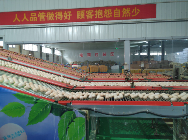 后稷故里，板棗之鄉(xiāng)——山西省稷山縣大力爭創(chuàng)國家現(xiàn)代農(nóng)業(yè)產(chǎn)業(yè)園