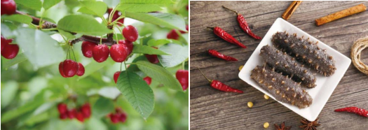 遼寧省大連瓦房店市全力推進(jìn)國家現(xiàn)代農(nóng)業(yè)產(chǎn)業(yè)園建設(shè)