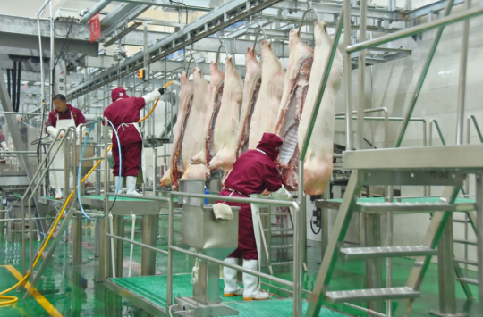 錦繡“五彩農(nóng)業(yè)”，高平市爭(zhēng)創(chuàng)國(guó)家 現(xiàn)代農(nóng)業(yè)產(chǎn)業(yè)園吹響集結(jié)號(hào)