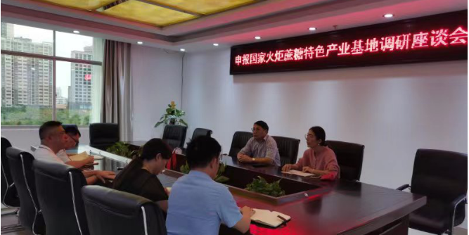 來賓高新區(qū)國家火炬特色產業(yè)基地申報工作正式啟動