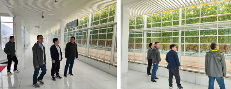 加強(qiáng)農(nóng)業(yè)產(chǎn)業(yè)布局規(guī)劃，民樂縣向農(nóng)業(yè)強(qiáng)縣進(jìn)發(fā)