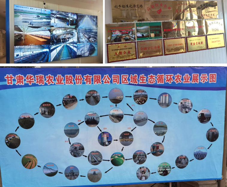 加強(qiáng)農(nóng)業(yè)產(chǎn)業(yè)布局規(guī)劃，民樂縣向農(nóng)業(yè)強(qiáng)縣進(jìn)發(fā)