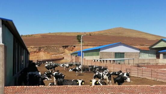 科右前旗農(nóng)業(yè)現(xiàn)代化示范區(qū)創(chuàng)建按下“加速鍵”，吹響“集結(jié)號”