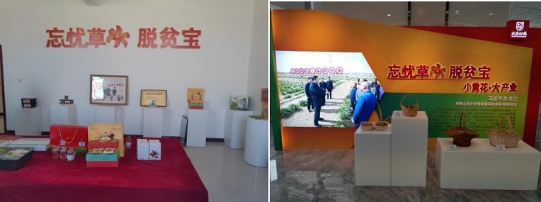 打造農業(yè)綠色發(fā)展典范，云州區(qū)創(chuàng)建國家農業(yè)綠色發(fā)展先行區(qū)勢在必行