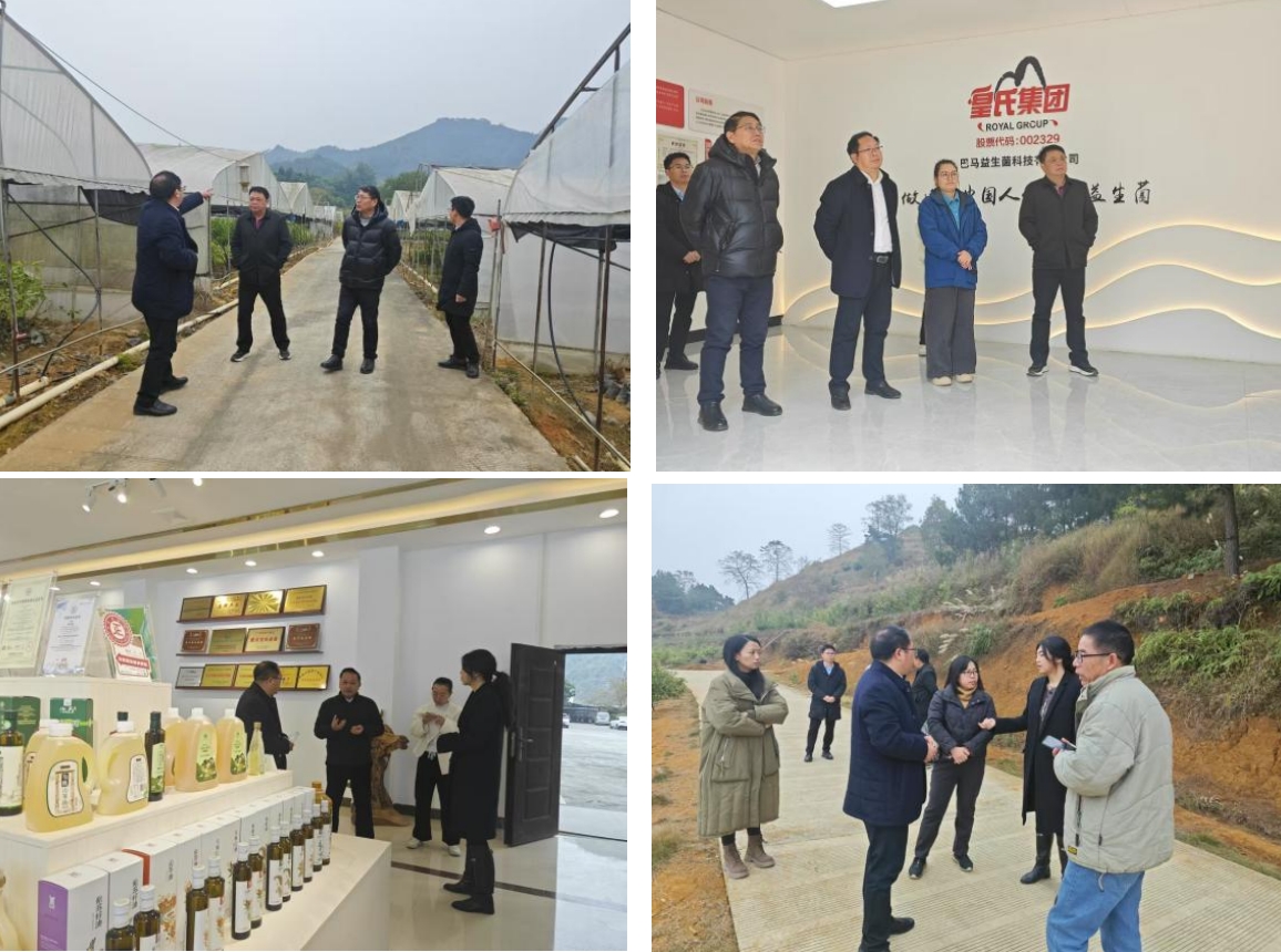 長(zhǎng)壽之鄉(xiāng)，逐路之行——高新院專家組一行赴廣西巴馬瑤族自治縣開展河池農(nóng)高區(qū)創(chuàng)建調(diào)研