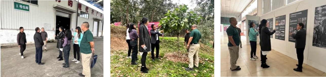 我院團(tuán)隊(duì)走入“中國(guó)天然橡膠第一縣”，與勐臘共赴國(guó)家現(xiàn)代農(nóng)業(yè)產(chǎn)業(yè)園建設(shè)之路