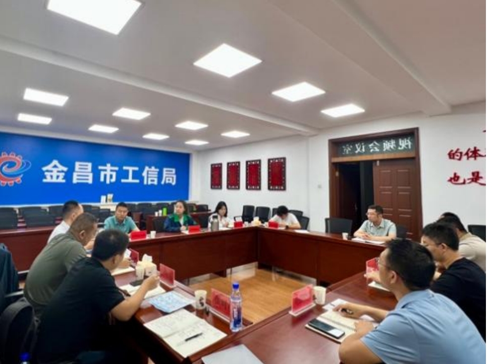 謀深謀實(shí)“十五五”規(guī)劃“三個(gè)重大”，我院邀行業(yè)專家參與座談——金昌市工